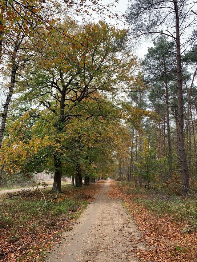 De Valuwe, Nature Area 