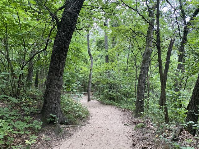 Three Dunes Challenge Hike 