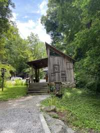 Roaring Fork Motor Natural Trail