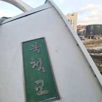 겨울여행 크리스마스 대전의 목척교