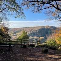 Road trip to Symonds Yat🇬🇧