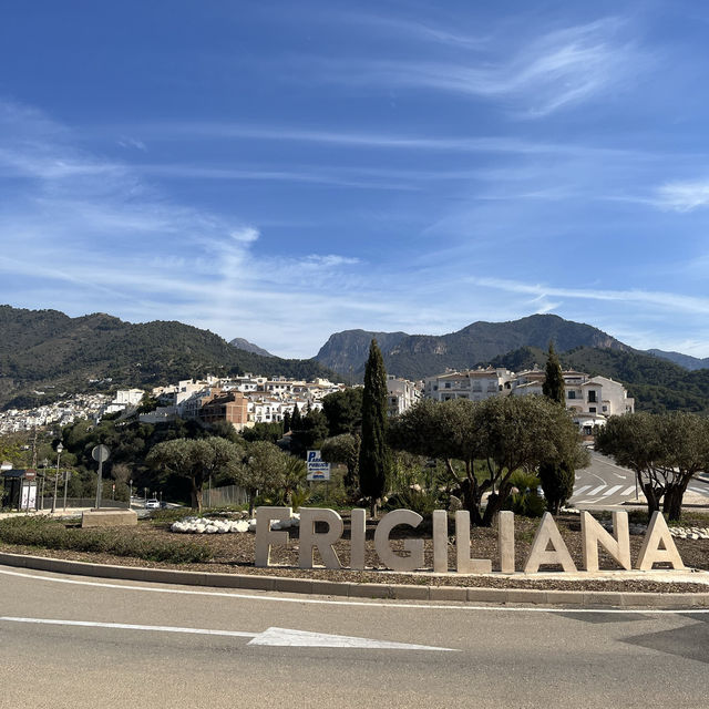 Fragile Frigiliana 🦎