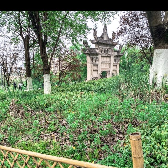 A Botanical Oasis in the Center of Chongqing