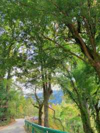 Qi Men, a beautiful place with few people in southern Anhui.