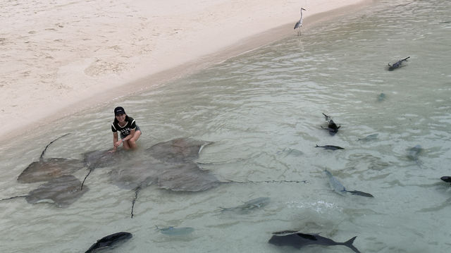 Maadhoo OZEN Reserve Bolifushi