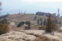 Japan free travel, hike up Mount Ibuki, autumn leaves and miscanthus are equally beautiful.