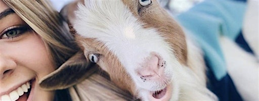 Red, White, and BAAAH-lue Goat Yoga McKinney! | TUPPS Brewery