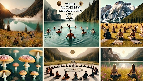 Alchemy Revolution Retreat | Misty Ridge Retreat B and B