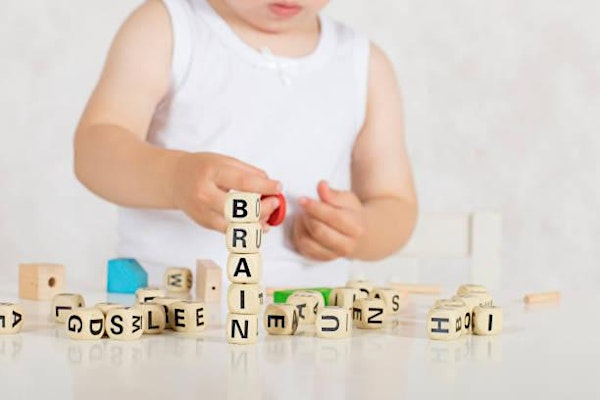 Brain Architecture Game | Iredell County Partnership For Young Children