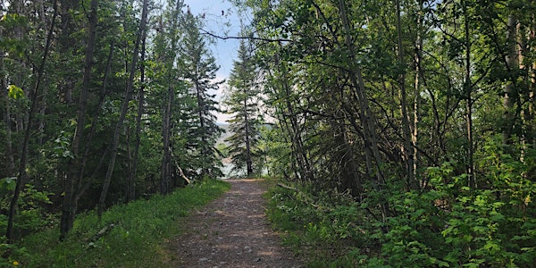 Neighbourhood Nature: Riverdale | Selkirk Street
