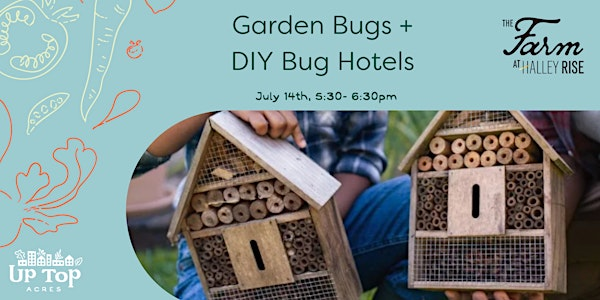 Garden Bugs + DIY Bug Hotels | The Farm at Halley Rise