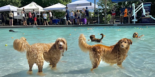 2025 Doggie Splash | Highlands Ranch Community Association - Westridge Rec Center
