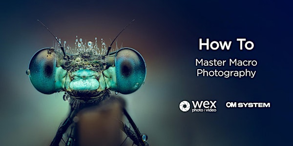 How To | Master Macro Photography | OM System | Wex Photo Video Birmingham