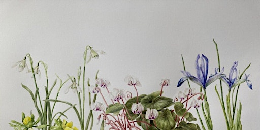 Capturing the Seasons - Field Sketchbook workshop Spring (VCC2806) | Carlton Marshes Nature Reserve & Visitor Centre