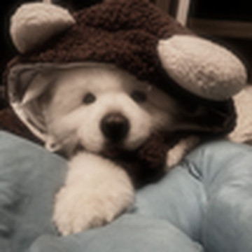 こうへい離島旅行