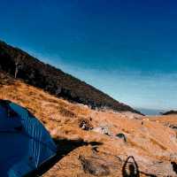 Hiking Mount Gede Pangrango