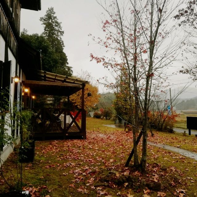 スコーンと紅茶の店「ワーズワースの庭」