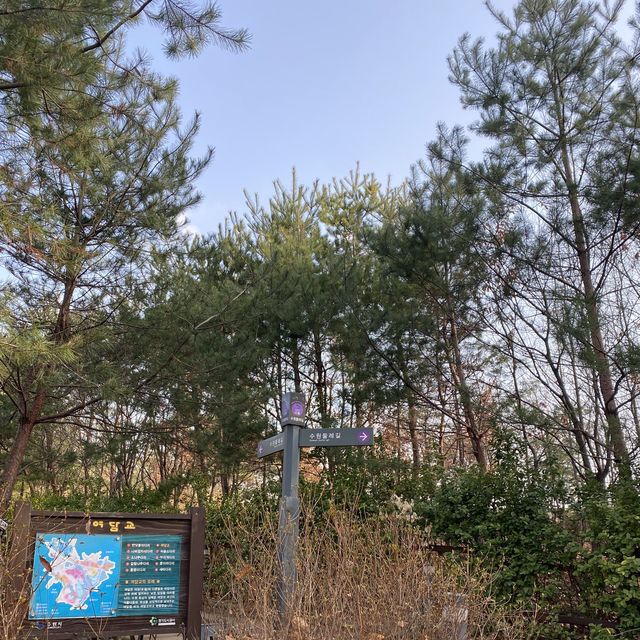 광교산 주말 산책