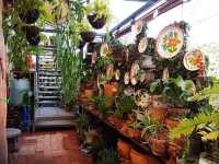 Plachum Café & Bistro 8ริ้ว