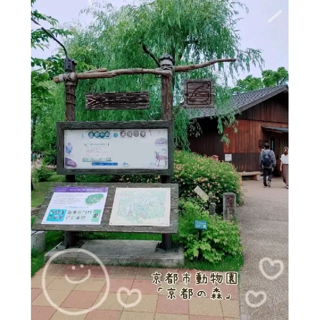 京都市動物園　京都の森