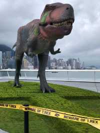 🦖恐龍出沒注意⚠️但係大人細路都鍾意😂