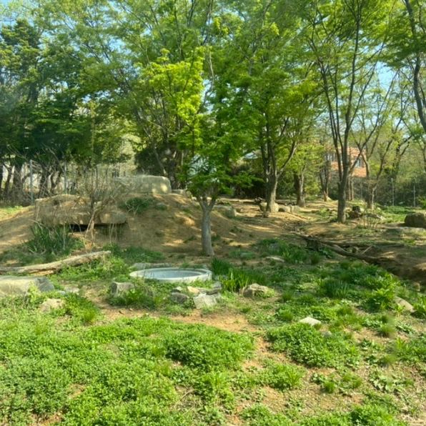 전주 핫플 전주동물원