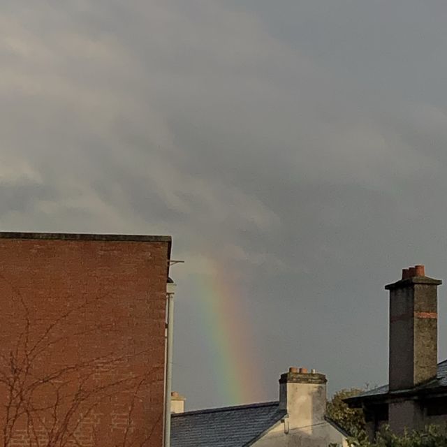 초록초록 풀내음이 뿜뿜한 보타닉가든☘️🇮🇪🌸
