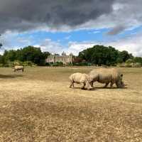 英國最具規模的野生動物公園及花園