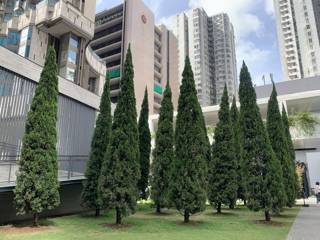本地遊 | 坐港鐵遊香港 | 炮台山站 | 油街實現 | 鬧市中的藝術綠洲