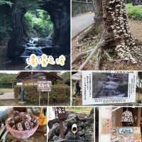 亀岩の洞窟📸️日本神秘美景