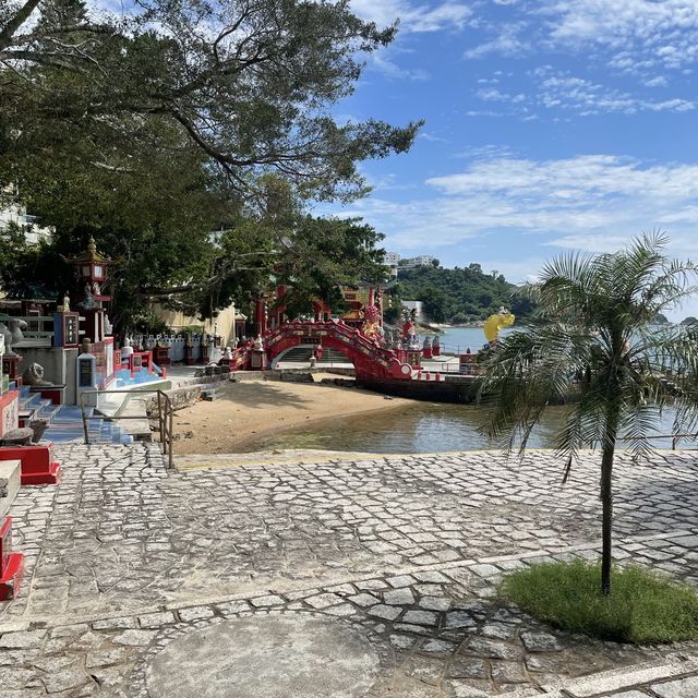 Upscale Beach with Shade Trees