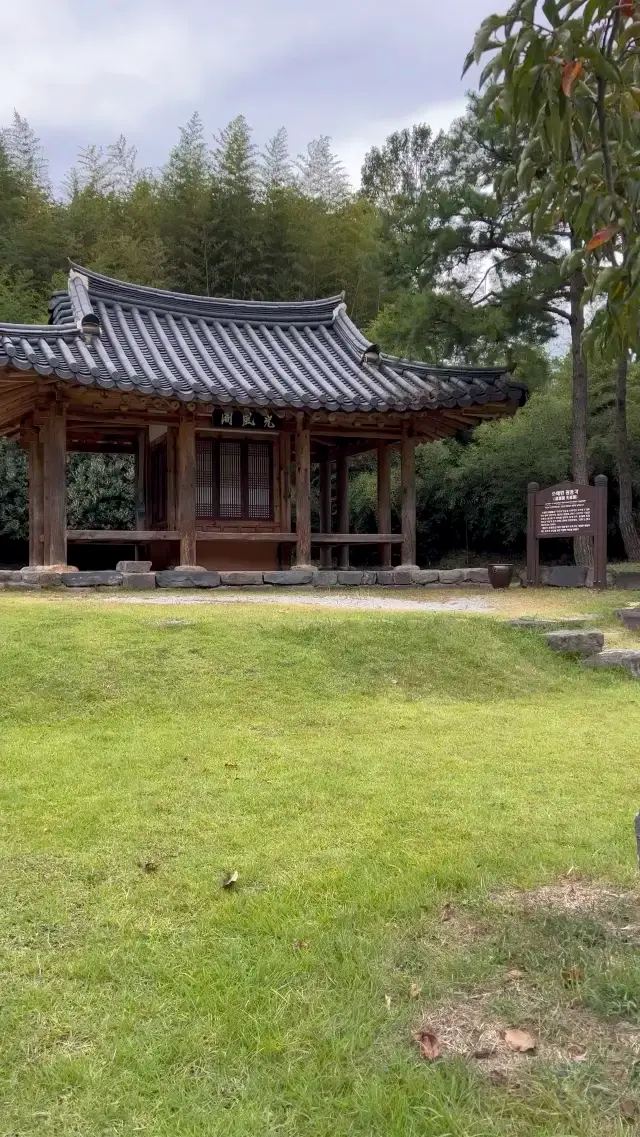 Korean Traditional House at Bamboo Forest