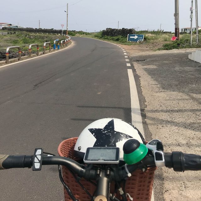 제주도 가면 가봐야 할 곳 ! 우도🏝️