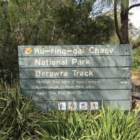 Kuring Gai brush walk