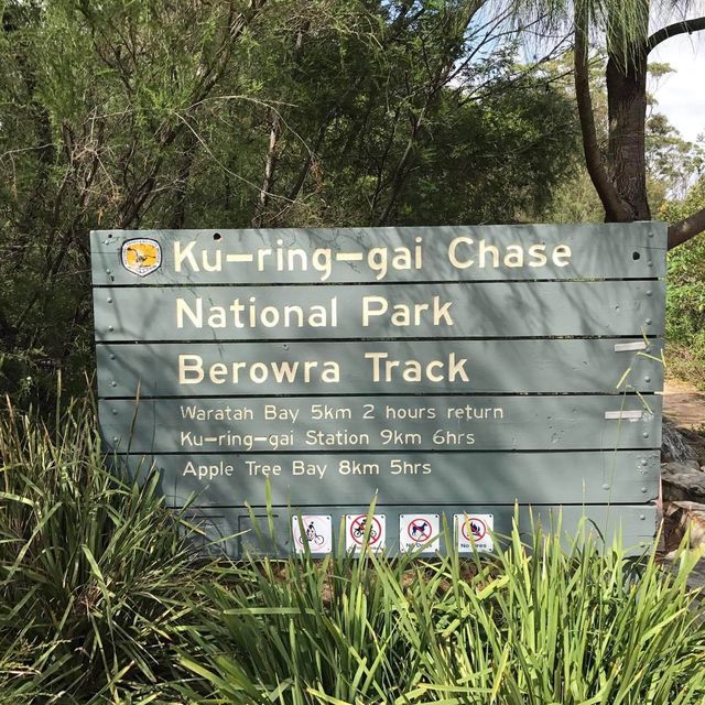 Kuring Gai brush walk