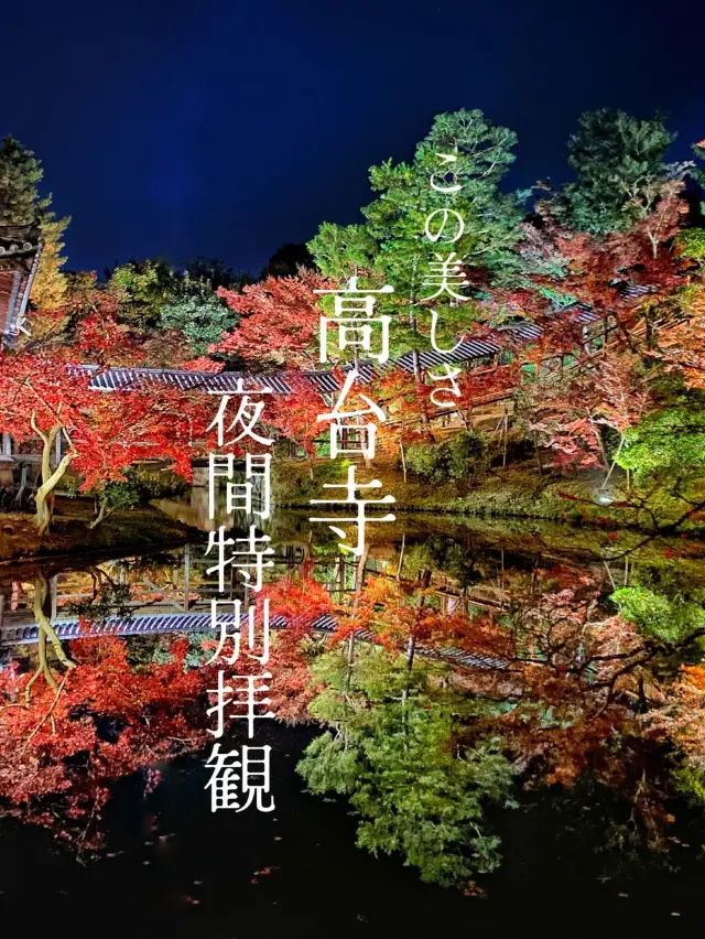 【京都】高台寺 夜間特別拝観✨美しすぎる紅葉ライトアップ✨