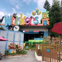 A day in Hongkong's Ocean Park