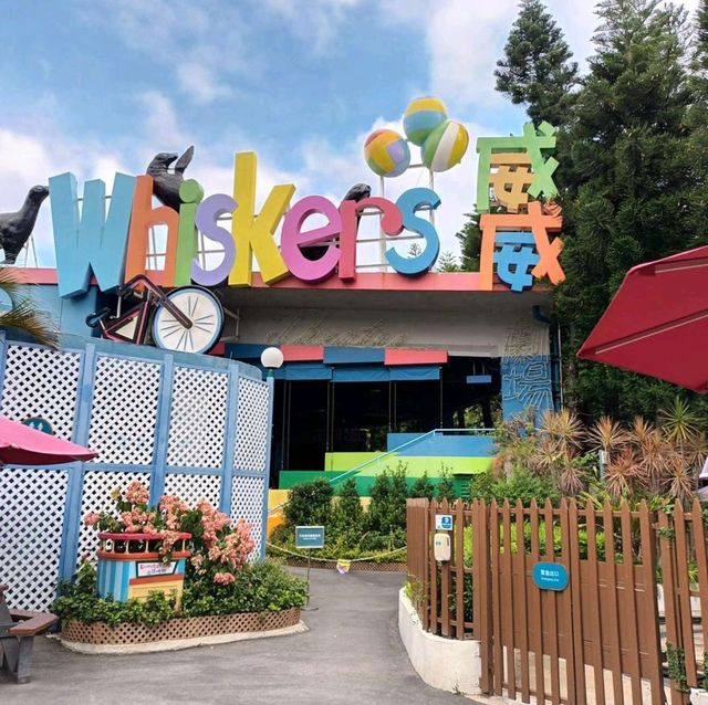A day in Hongkong's Ocean Park