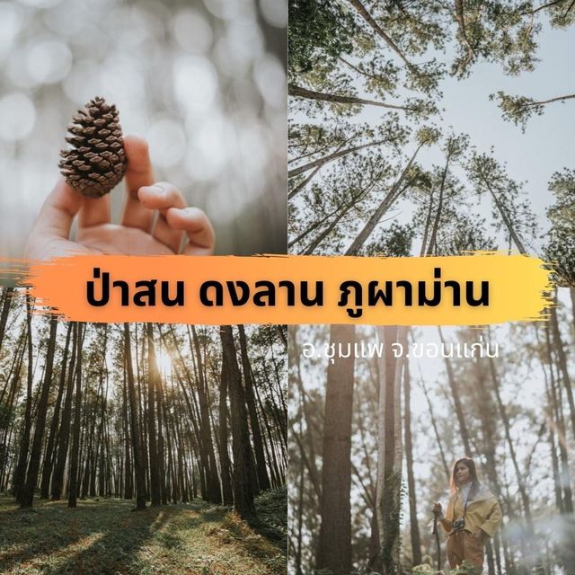 ขอนแก่น ขอนใจ