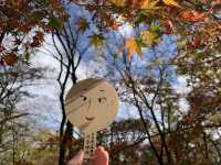 【京都】河合神社で、美人祈願！