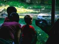 Singapore Zoo