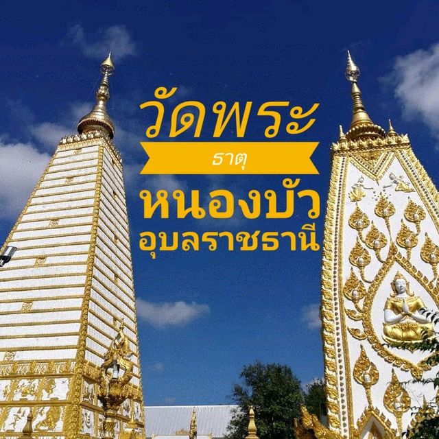 พระธาตุ​องค์สีขาว​ วัดพระธาตุหนองบัว