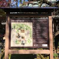滿滿招財貓🐱日本必去豪徳寺