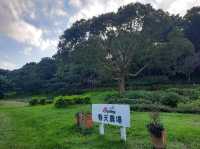 【桃園】下午茶聚餐-春天農場