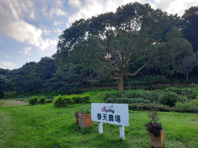 【桃園】下午茶聚餐-春天農場