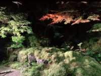 京都[紅葉めぐり]   幻の紅葉　瑠璃光院