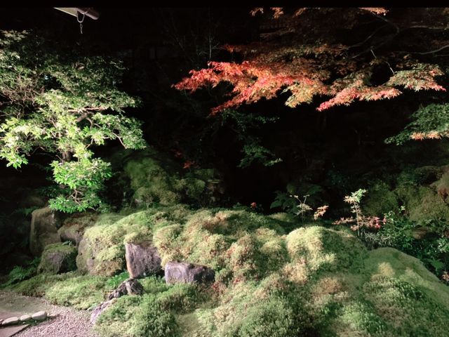 京都[紅葉めぐり]   幻の紅葉　瑠璃光院