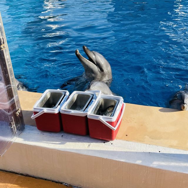 高質海洋公園平日遊