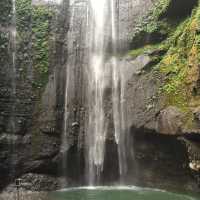 Winsome Waterfall Madakaripura
