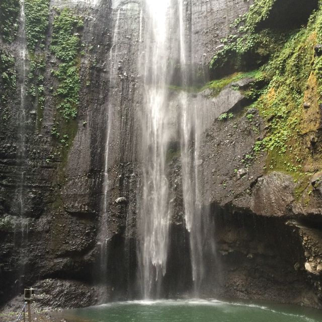 Winsome Waterfall Madakaripura